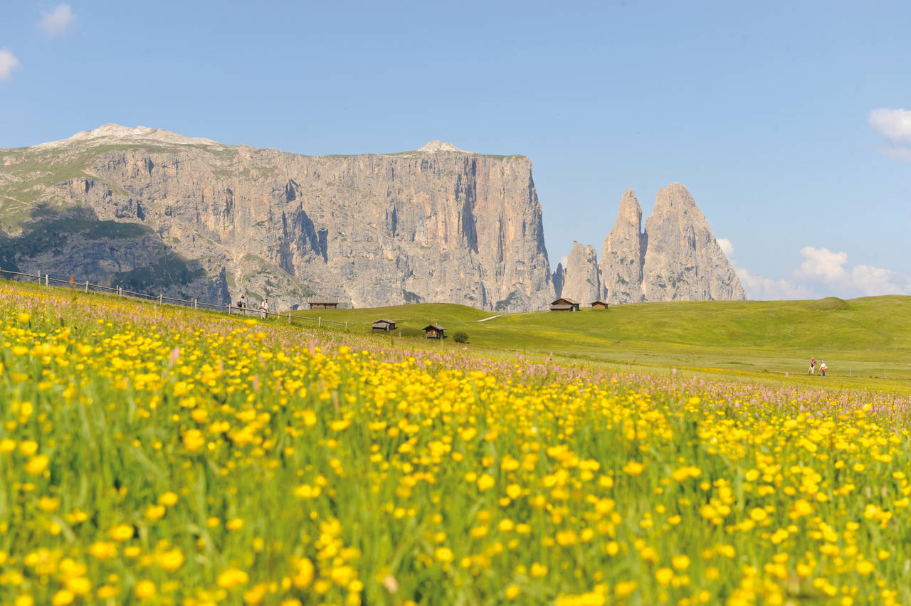 Golfurlaub in Südtirol (Seiser Alm)