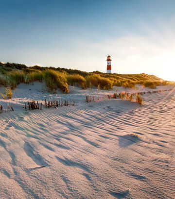 Sylt