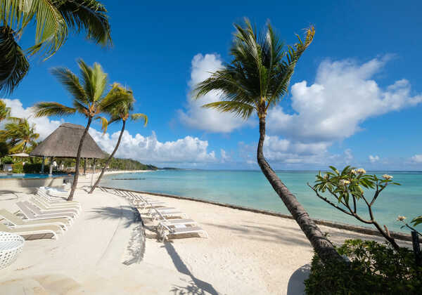 Ambre Mauritius
