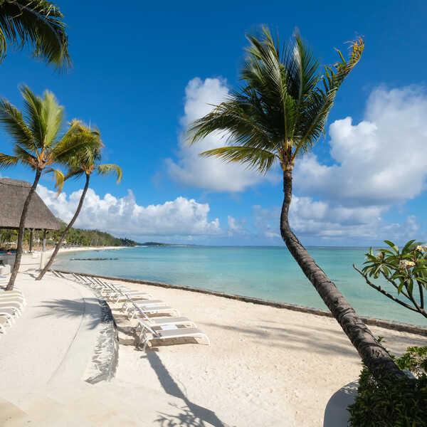 Ambre Mauritius