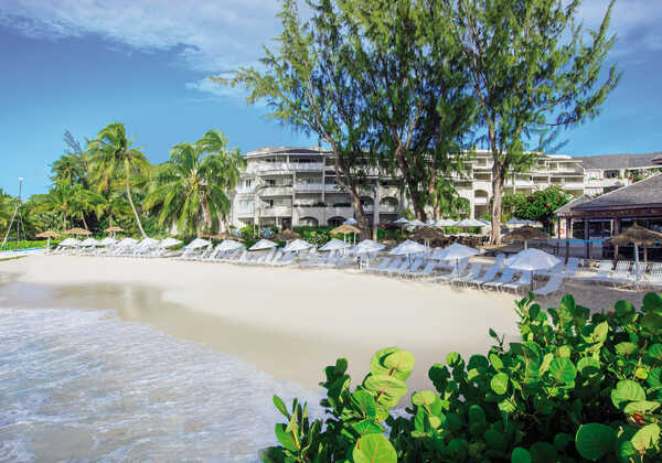 Bougainvillea Barbados
