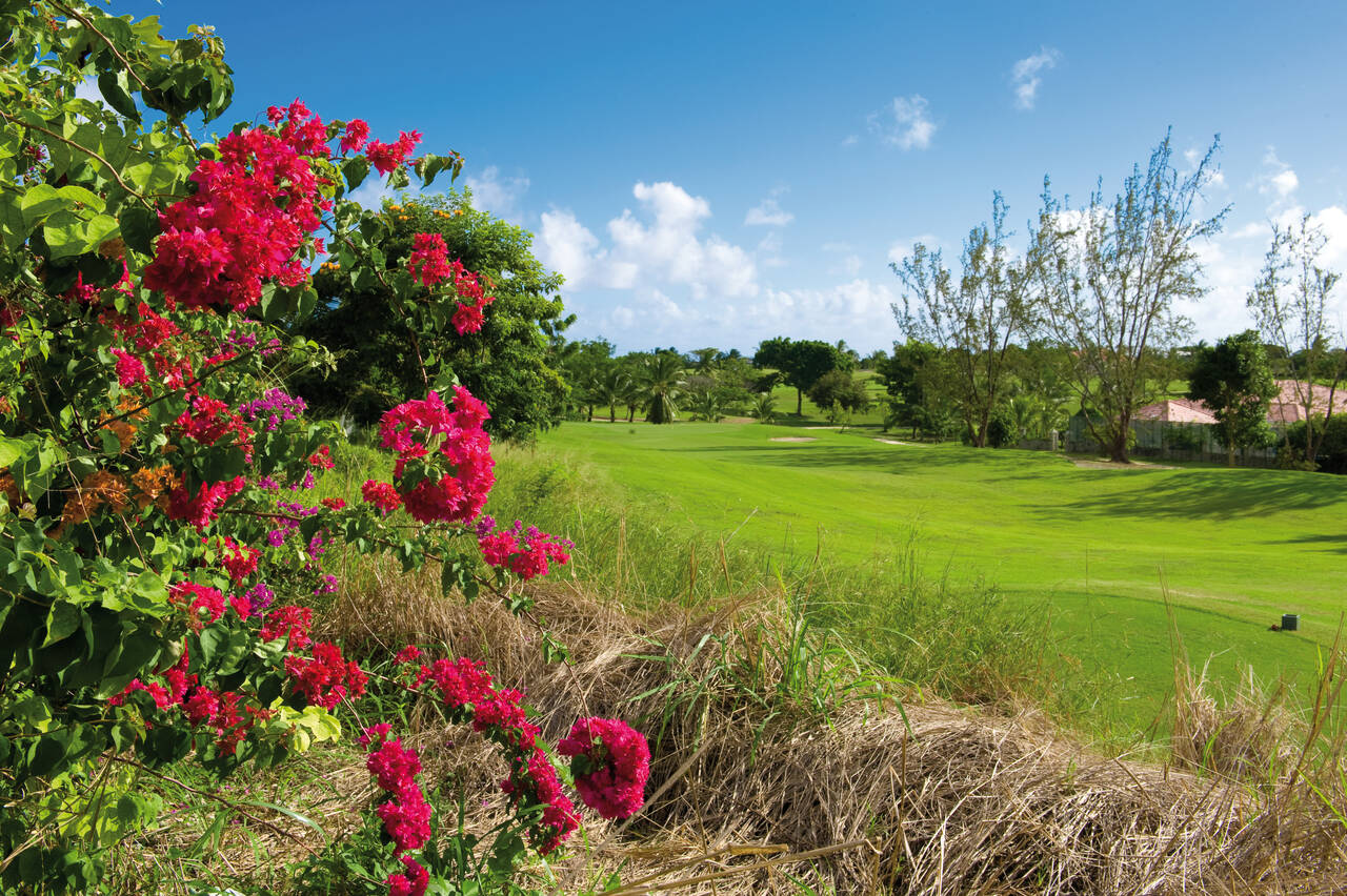 Barbados Golf Club
