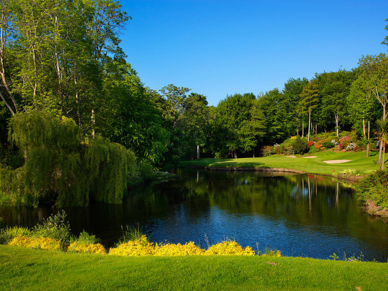 Druids Glen Loch 8