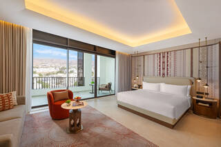 Mountain View Room