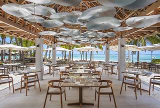 Blue Marlin