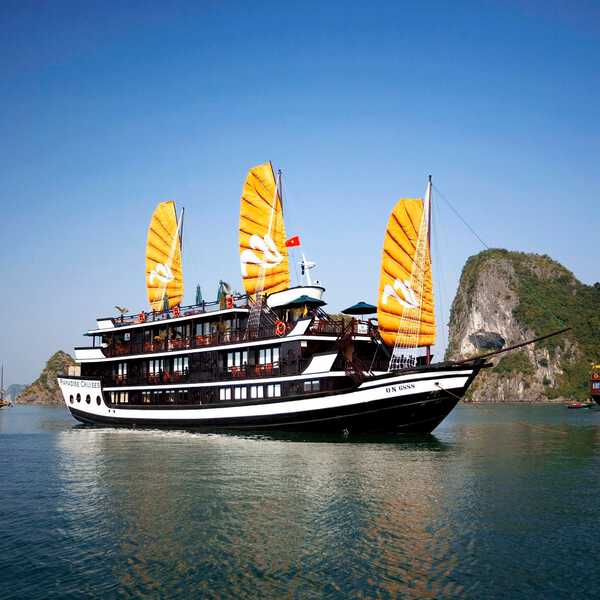 Paradise Cruises
