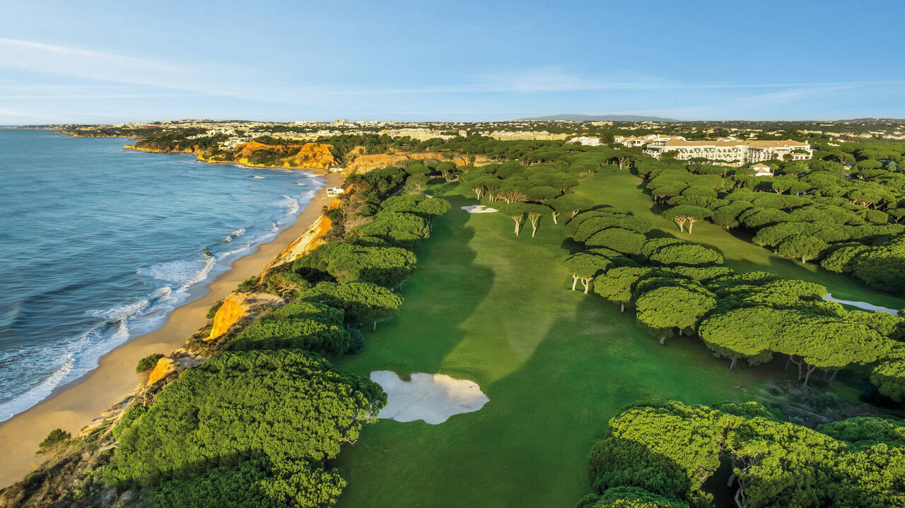 Pine Cliffs