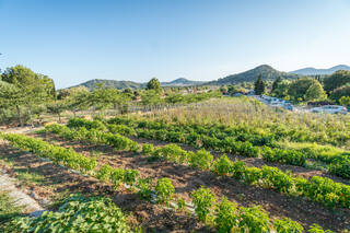 Eco Garden