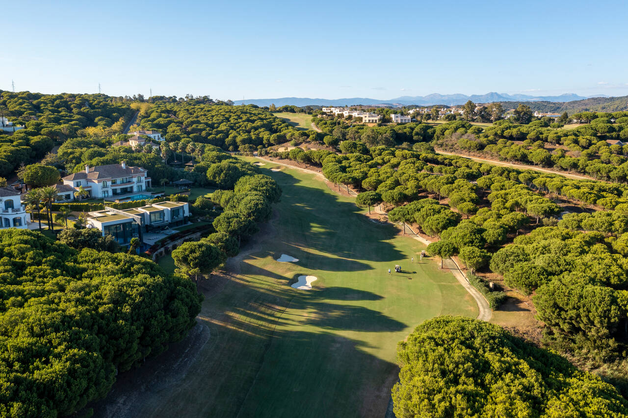 The Alto Club