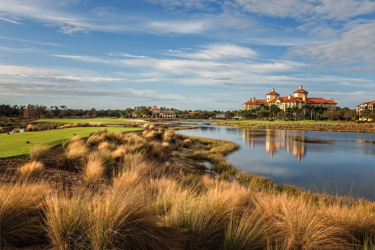 Tiburon, The Gold Course