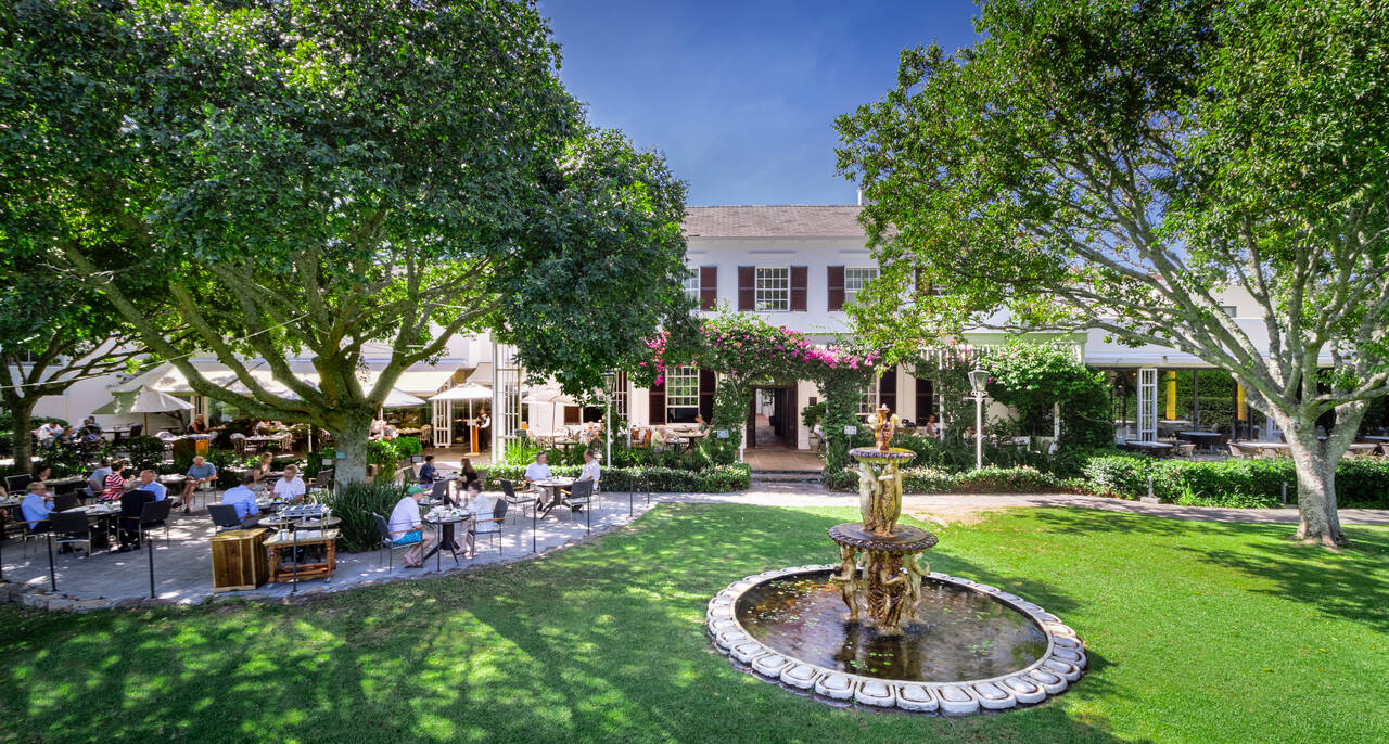 The Vineyard