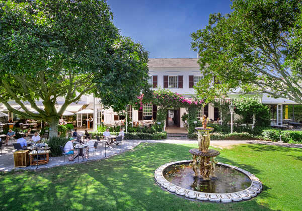 The Vineyard