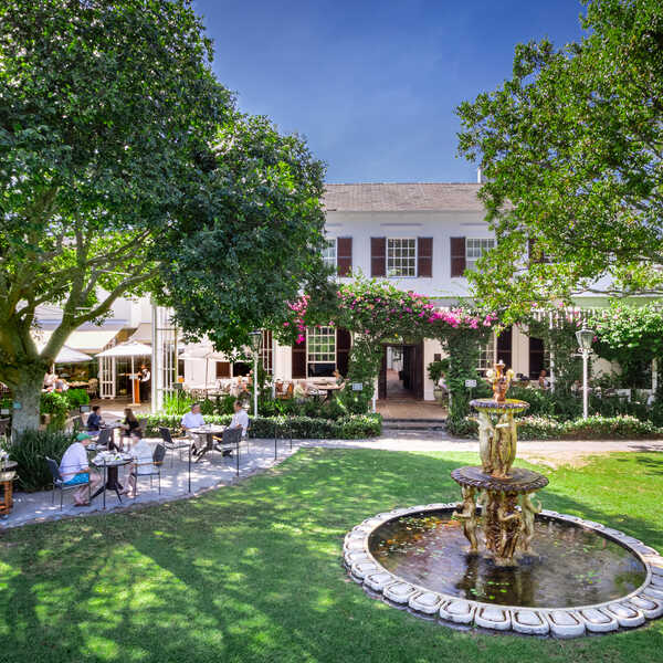The Vineyard